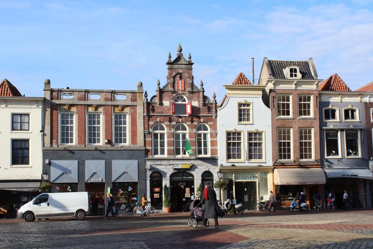 gouda-1